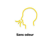 Sans odeur